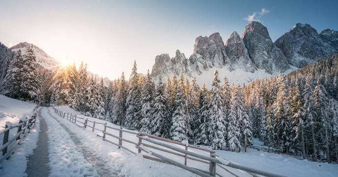 Snowed forest and mountain peak in the Dolomites