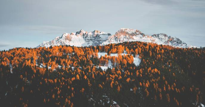 Vibrant fall colors in the Dolomites