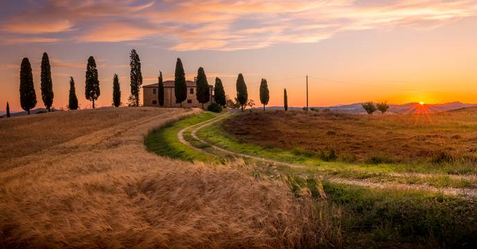 Sunset over golden fields
