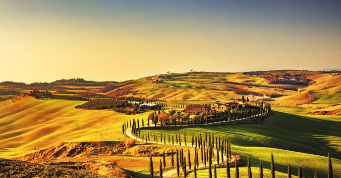 Golden fields and rolling hills in Tuscany