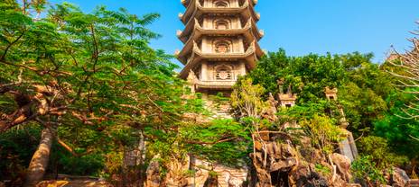 A beautiful pagoda surrounded by trees