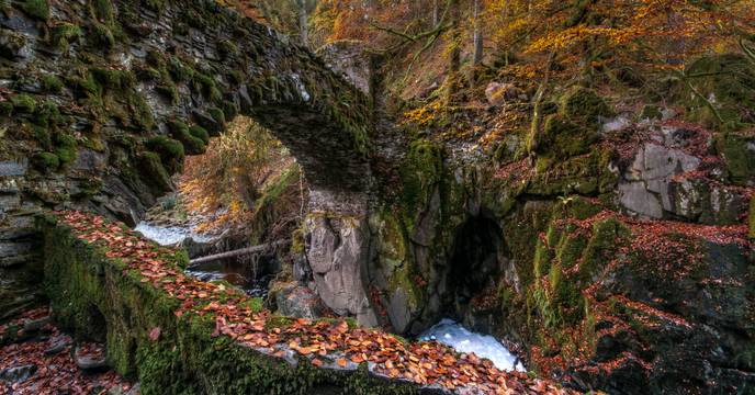 Fall foliage, Scotland