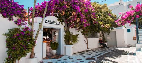 Blooming flowers in Greece