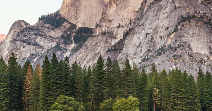 Yosemite National Park