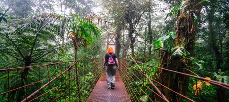 Forest in Costa Rica