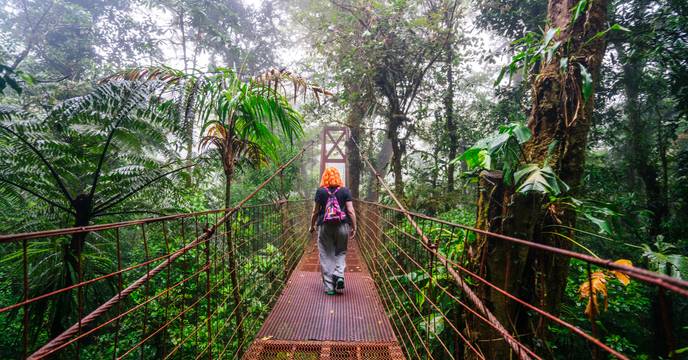 Cloud forest in Costa Rica