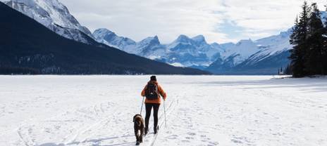 Person walking their dog in winter