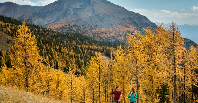 Hiking in Alberta, Canada, in fall