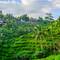 Ubud