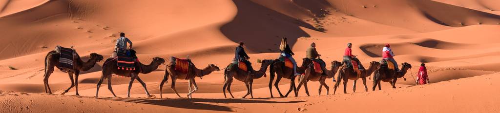 Moroccan desert