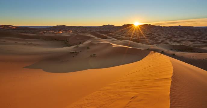 Sahara Desert