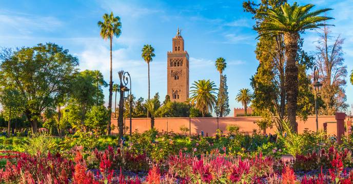 Blooming flowers in Marrakech