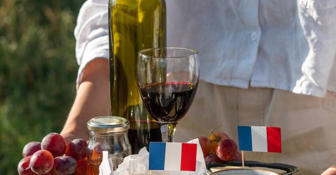 Wine tasting, France