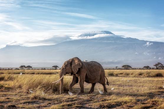 Mount Kilimanjaro