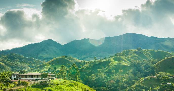 Lush landscapes in Colombia