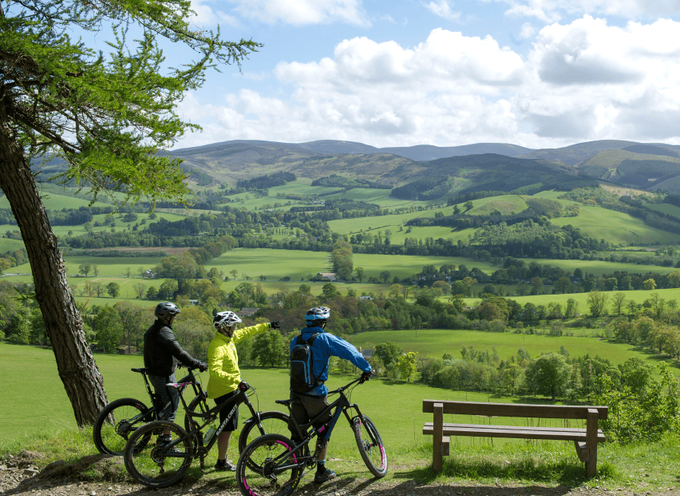 tree men riding their bikes in a green landscape