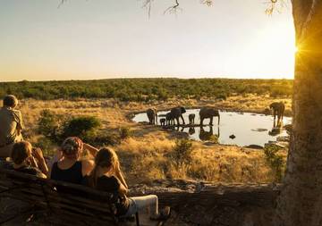 Olifanten bij zonsondergang tijdens een safari in Zimbabwe.