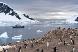 View from Danco Island in the Antarctic Peninsula