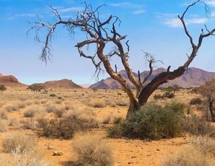 Namibia landscapes