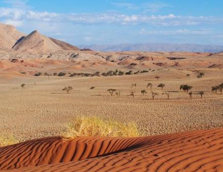 Namib Desert