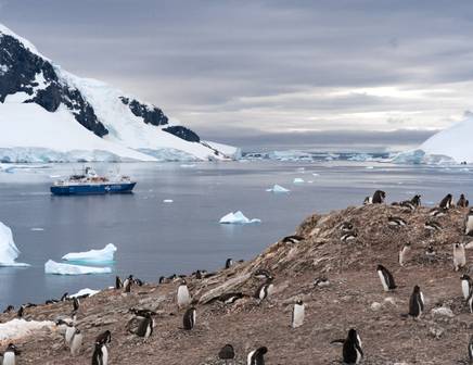 kayaking tours in punta arenas