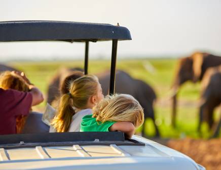 family tours and safaris in south africa