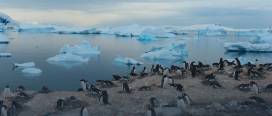 Antarctica