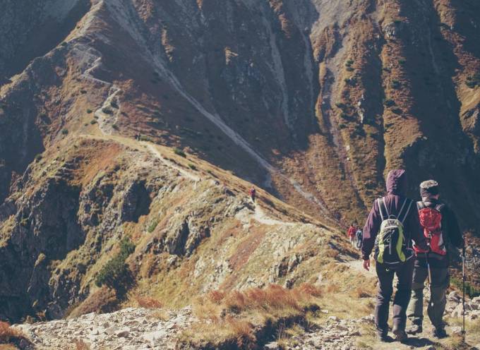 galapagos iguana adventure