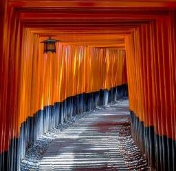 Torii in Japan