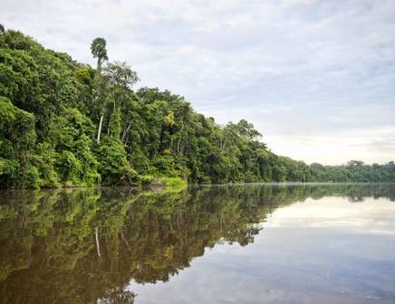 Boat ride in the Amazon