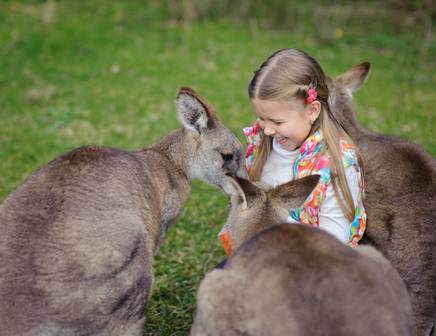 Family seeing kangaroos in Australia