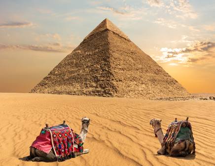 camels and pyramids in egypt