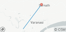 Journée complète de visite de Varanasi Ghat et; Temple, Sarnath Budhist Temple et; Ramnagar Fort - 2 destinations
