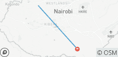 Best Nairobi Day Trip: Nairobi National Park, Elephant Orphanage & Giraffe Center Guided Tour - 2 destinations