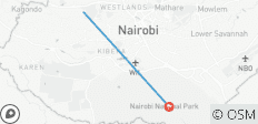 Escale à l\'aéroport de Nairobi : visite de l\'orphelinat des éléphants et du centre des girafes - 2 destinations