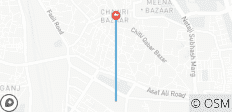 Private Old and New Delhi Guided Tour - 2 destinations