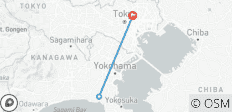 Japanime: Recorrido de 7 días por la escena anime de Tokio - 3 destinos