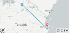 Vive Tanzania en 10 días: Safari completo de gama media alta desde Dar es Salaam - 4 destinos