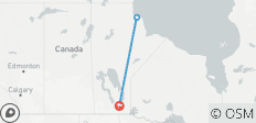  Belugas in der Hudson Bay - 3 Destinationen 