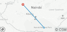Paquete Nairobi (Parque Nacional de Nairobi, Orfanato de Animales, safari a pie + santuario de elefantes opcional) - 3 destinos