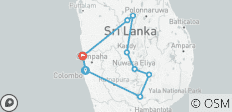 Circuit de 3 jours à la découverte des incontournables du Sri Lanka : Sigiriya, Kandy, le train d\'Ella et un safari à Udawalawe - 10 destinations