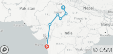 Icônes de l\'Inde :-Taj Tiger avec Udaipur et la vie nocturne trépidante de Mumbai - 6 destinations