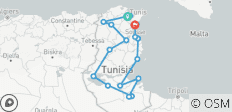 Tunesië: Hammamet, El Djem, Matmata, Douz, Tozeur, Kairouan, Tunis, Cartago en Sidi Bou Said - 12 dagen - 19 bestemmingen