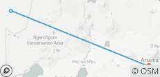 5 jours abordables Migration annuelle des gnous - 3 destinations