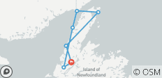 Conduce por la Ruta Vikinga: Un viaje autoguiado por Terranova y Labrador - 7 destinos