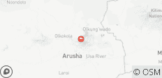 1-Daagse Arusha Nationaal Park Safari - 1 bestemming