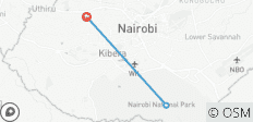 1 jour - Safari au lever du soleil à Nairobi et visite guidée de la ville en groupe - 3 destinations