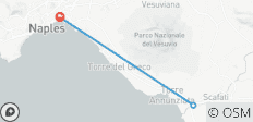 Explorador de Nápoles y Pompeya (3 estrellas) - 4 días - 3 destinos