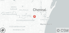 Séjour spirituel : de Chennai à Tiruvannamalai, visite d\'un temple et d\'un ashram - 1 destination
