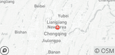 Well-spend Two Days in Chongqing Private Tour - 1 destination